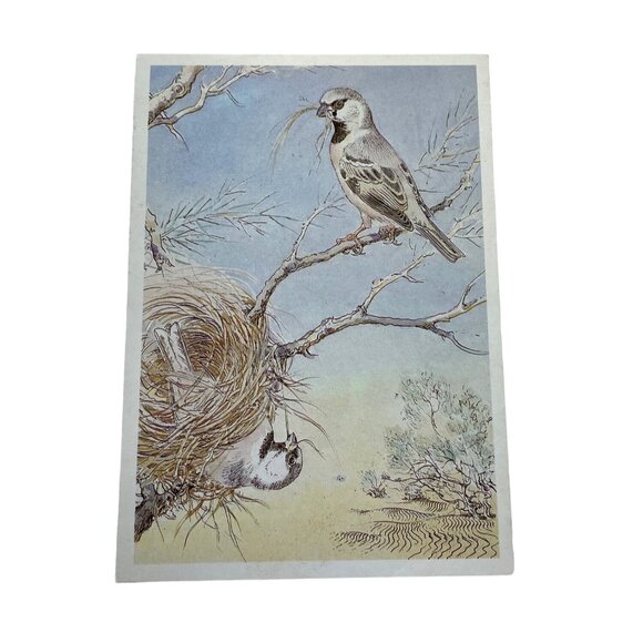 Vintage 1989 Russian Postcard With Sparrow & Nest Art Print By A. Grubianov u - Picture 1 of 2